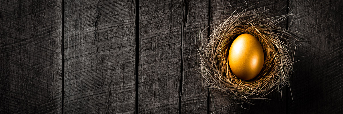 Savings Accounts build nest eggs